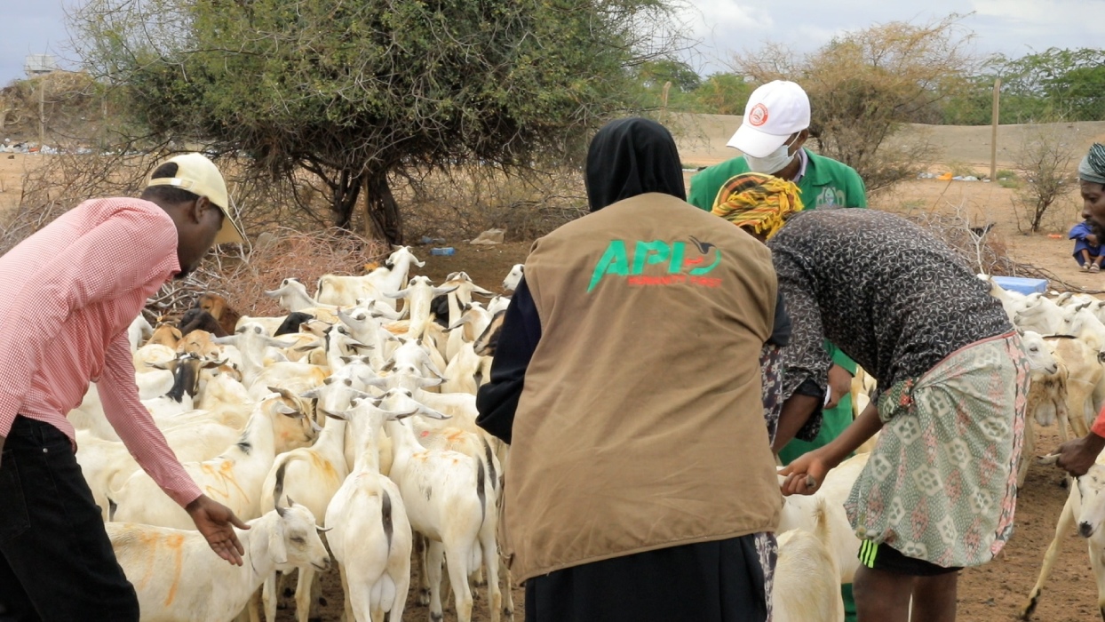 APID Africa